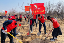 “青春攜手、植此青綠，青心有愛、不負(fù)春光”——我院開展植樹節(jié)主題活動(dòng)