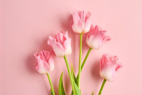 三月芳菲季 中醫(yī)護芳華 | 臨沂市康復醫(yī)院中醫(yī)科三八婦女節(jié)特別關愛行動